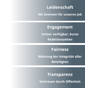Leidenschaft Wir brennen für unseren Job Engagement Immer verfügbar, kurze Reaktionszeiten Transparenz Vertrauen durch Offenheit Fairness Wahrung der Integrität aller Beteiligten